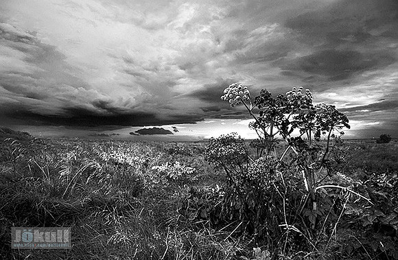 The Storm is comming