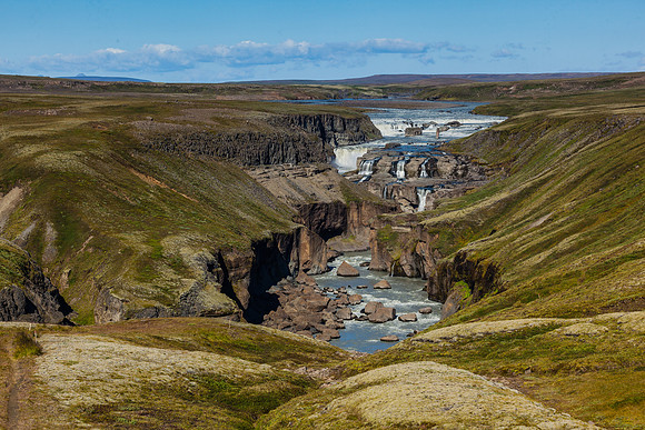Dynkur-140818_MG_9038
