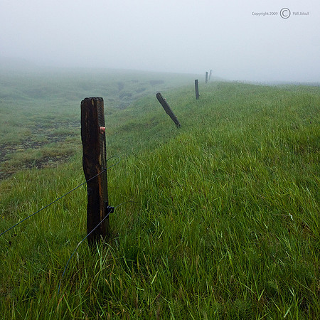 Into the Fog
