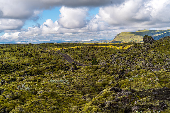 _DSC2916