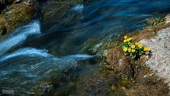 Varmá_020612_MG_8864