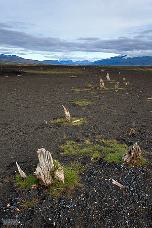 Drumbabót_020912_MG_8737