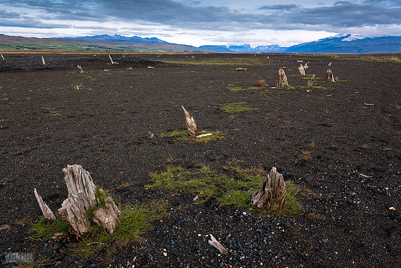 Drumbabót_020912_MG_8738