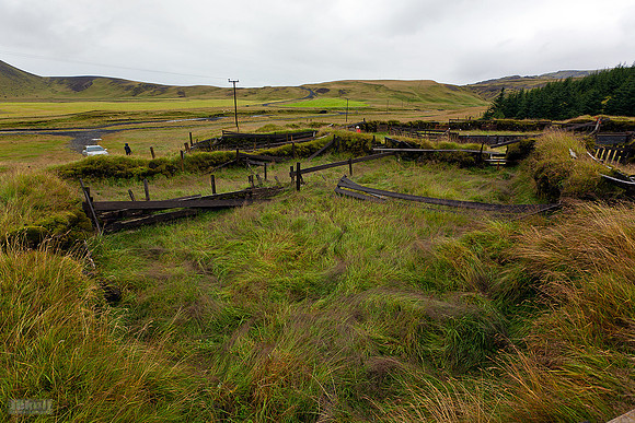 Heiðardalur_250812_MG_9464