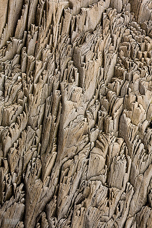 Reynisfjara_260812_MG_8331