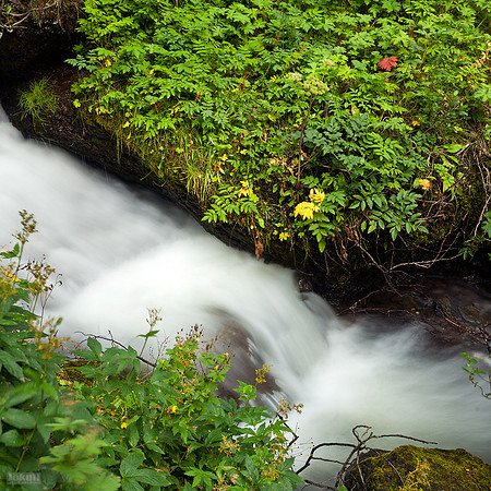 Systrafoss_260812_MG_0073