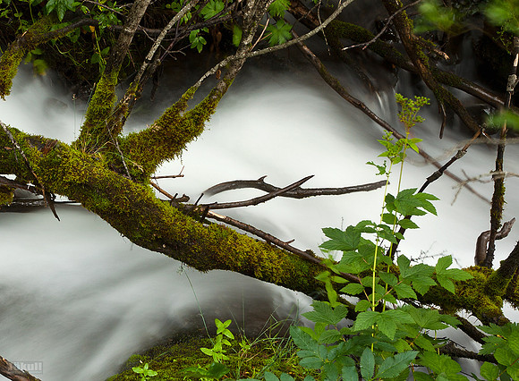 Systrafoss_260812_MG_0074