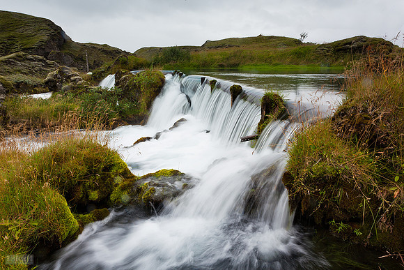 Tungulækur_250812_MG_9627
