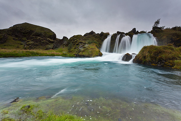 Tungulækur_250812_MG_9632