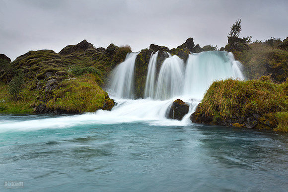 Tungulækur_250812_MG_9635