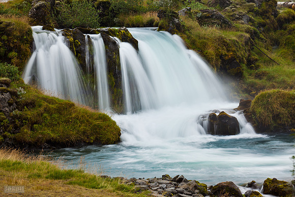 Tungulækur_250812_MG_9659