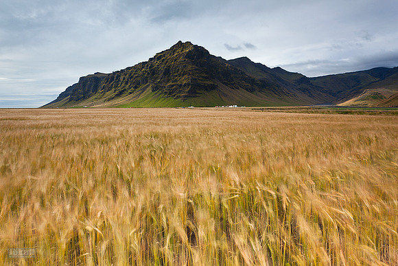 Þorvaldseyri_260812