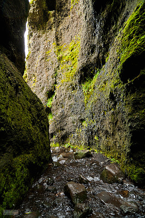 Rauðfeldargjá