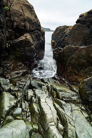 Strandir_190812_MG_9067