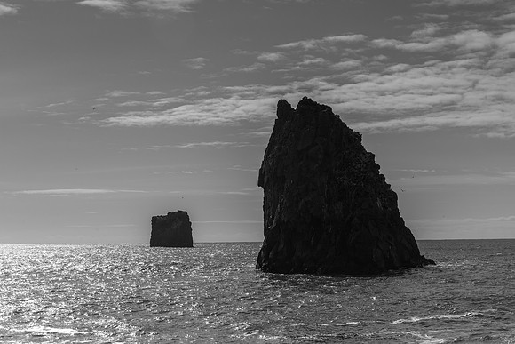 Dyrhólaey-150412_MG_8462
