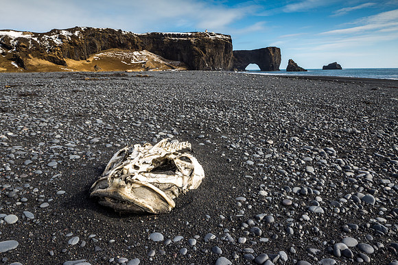 Dyrhólaey-150412_MG_8675