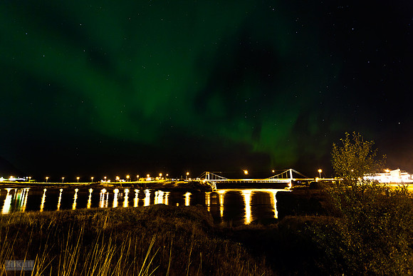 Aurora Borealis_MG_0707