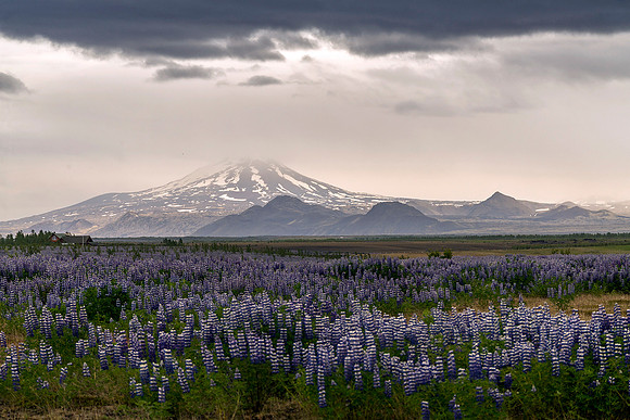Hekla_DSC9354