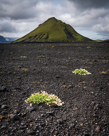 Mælifell-160819_DSC1407