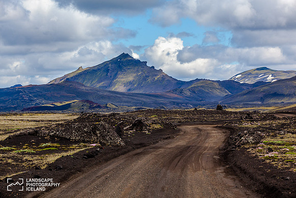 Sauðleysur-140622_MG_3285