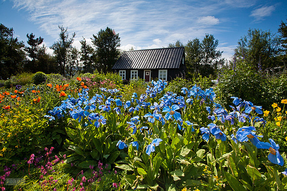 Lystigarðurinn-á-Akureyri