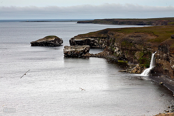 Króksbjarg