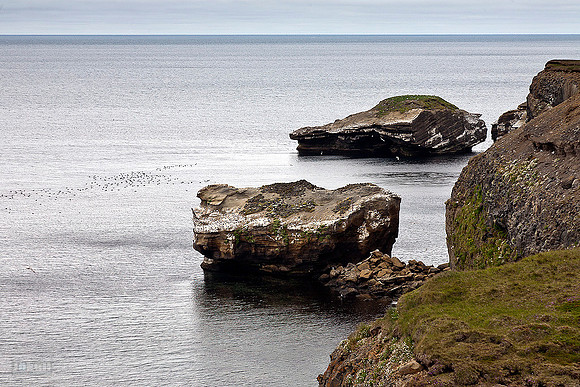 Króksbjarg