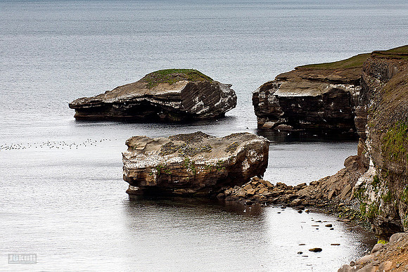 Króksbjarg
