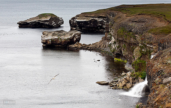 Króksbjarg