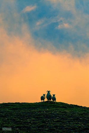 Vaðlaheiði