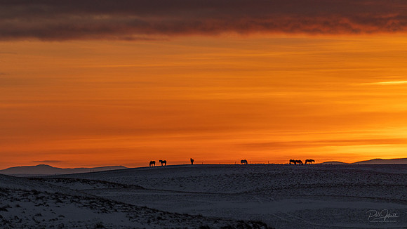 Mývatn_sunset_261121__PJP9698