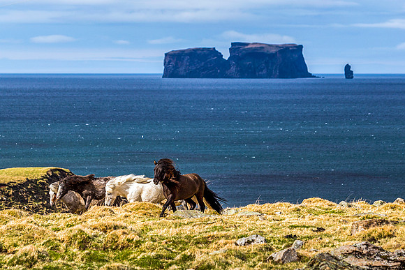 Drangey-150523Drangey_MG_3582