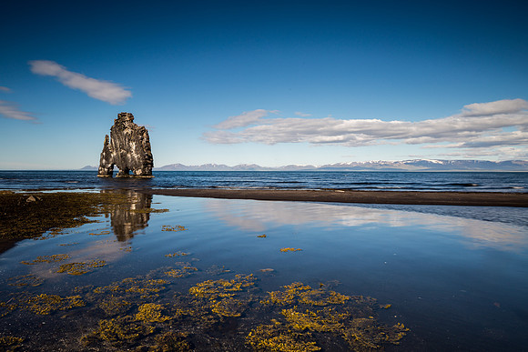 Hvítserkur-150629_MG_5743