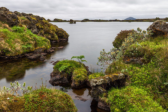 Mývatn-150701_MG_6052