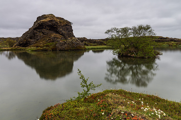 Mývatn-150701_MG_6091