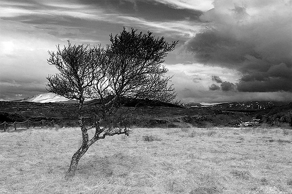 Against the wind