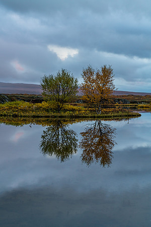 Þingvellir-151007_DSC4200