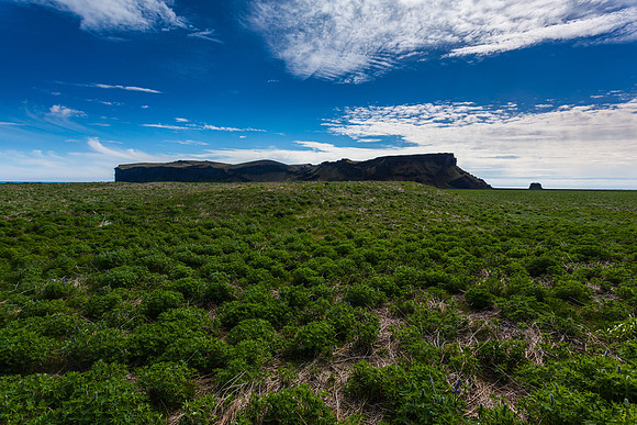 Hjörleifshöfði-070613_MG_8953