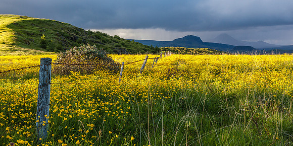 Norðurárdalur-120713_MG_3181
