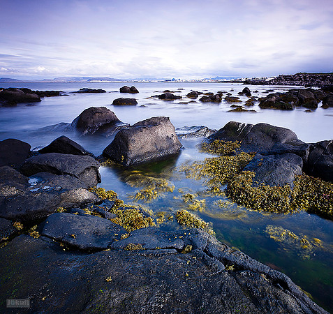 Calm seaside