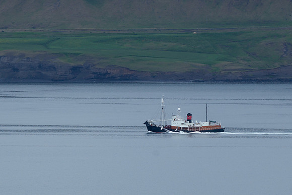 Hvalbátur-250613_MG_2192