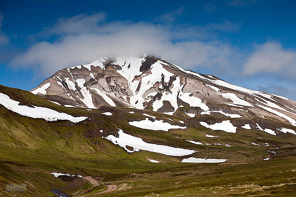 Hvítserkur