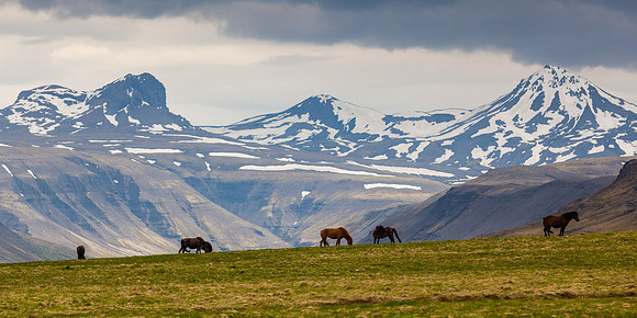 Mountains and horses