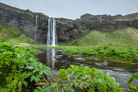 Seljalandsfoss-060613_MG_8529