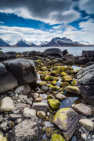 Gjögur_180513_MG_6782