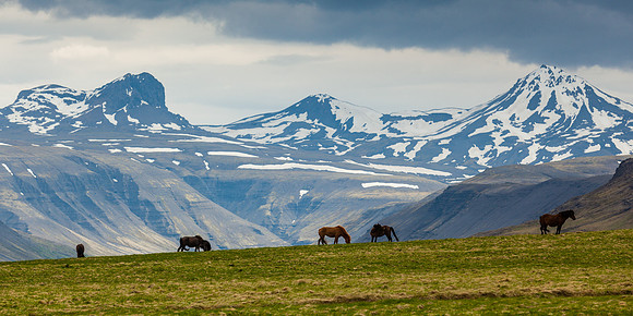 Mountains and horses