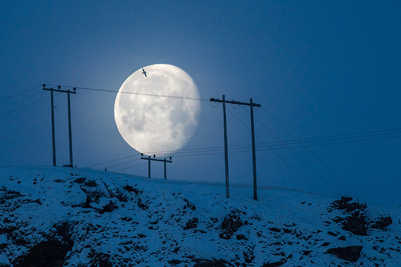 Moon in Vík_DSC9987