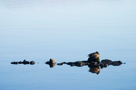 Thingvellir