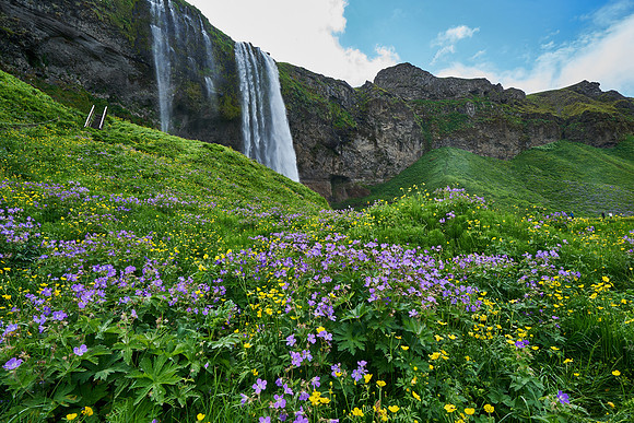 Seljalandsfoss_DSC1610