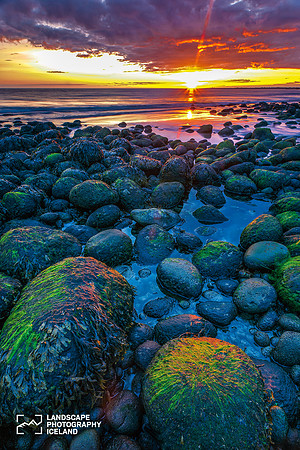 Hvaleyri_290511_MG_5224-Edit-2-1